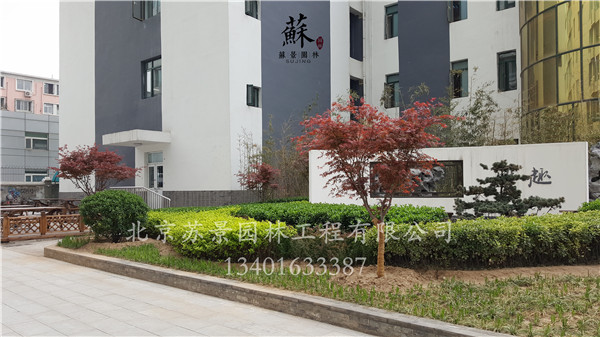 竣工現(xiàn)場圖05